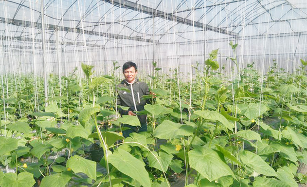 Hợp tác xã của cử nhân Công nghệ sinh học