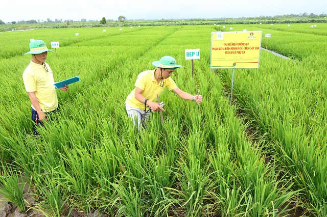 Đạm Cà Mau đẩy mạnh cung ứng sản phẩm ra thị trường
