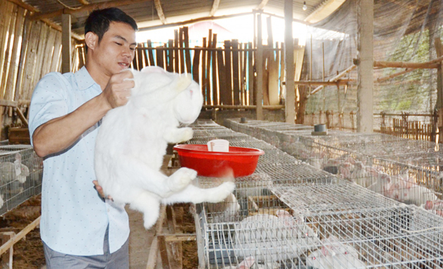 HTX Tân Linh tiên phong xây dựng chuỗi thực phẩm thỏ