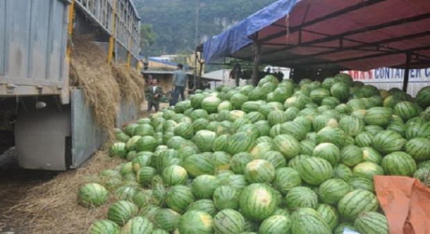 Từ 1/5/2019, trái cây xuất sang Trung Quốc phải đáp ứng yêu cầu bao bì