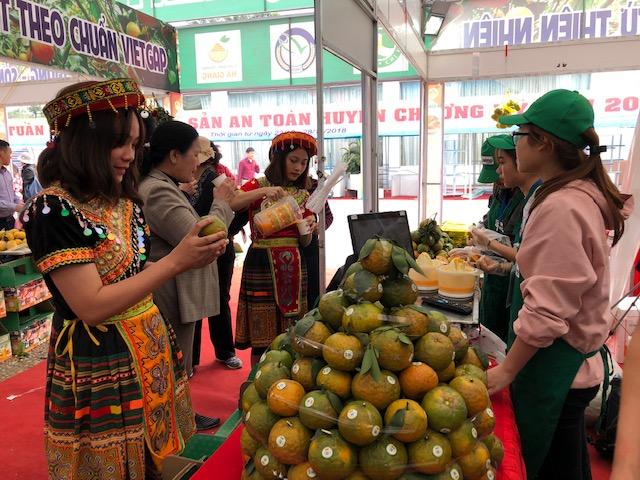 Hà Nội hỗ trợ tiêu thụ cam sành Hà Giang