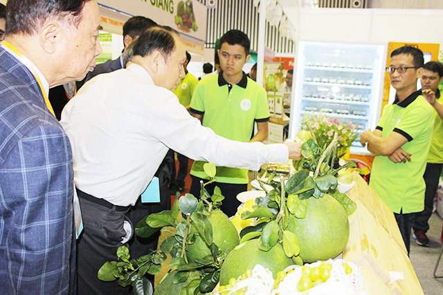 xuat-khau-dua-tieu-ngach-6576-1555678188