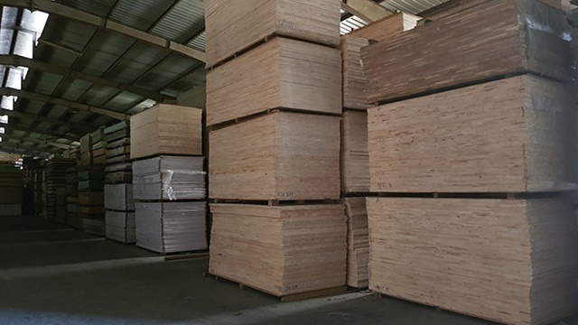 thue-2111-1555903715.jpg
