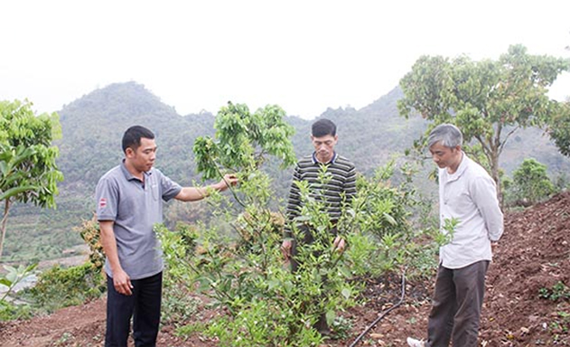 Lợi ích kép về giá trị kinh tế và an toàn lao động