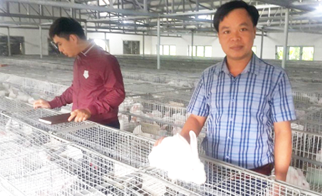 Bí quyết khởi nghiệp từ nuôi thỏ