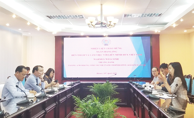 Phối hợp với ING xây dựng hệ thống bán lẻ mang thương hiệu hợp tác xã