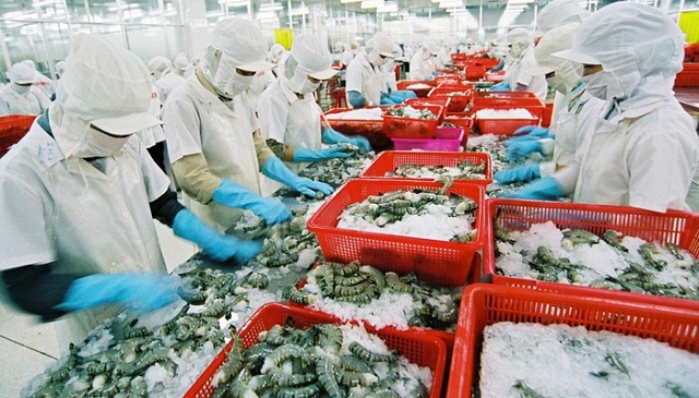 Xuất khẩu tôm Việt Nam tiếp tục giảm trong quý I/2019
