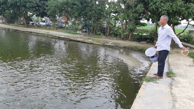 HTX Thủy sản Sông Hóa – Hải Phòng: Vựa cá giống của miền Bắc