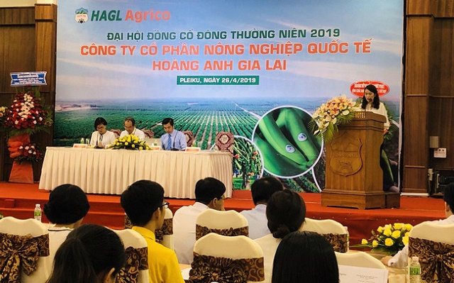 Chủ tịch THADI ứng cử vào HĐQT HAGL Agirco