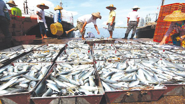 Đầu tư các dự án thủy sản tại 4 tỉnh miền Trung bằng khoản tiền bồi thường của Formosa