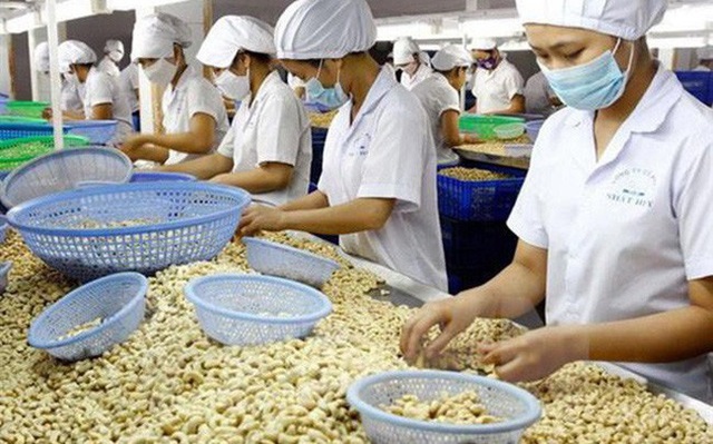 Xuất khẩu hạt điều sang các thị trường chính tăng mạnh
