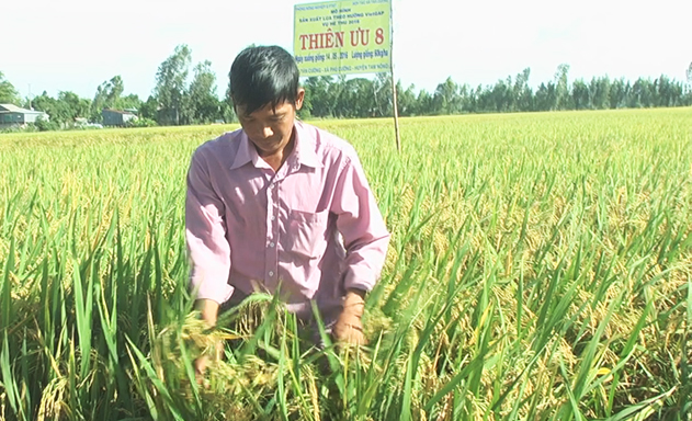 Quyết tâm khởi nghiệp với hợp tác xã