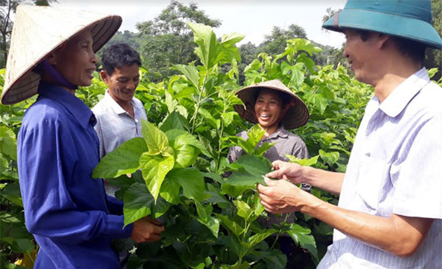 HTX Chấn Thịnh: Tiếp sức sản xuất, bảo vệ môi trường