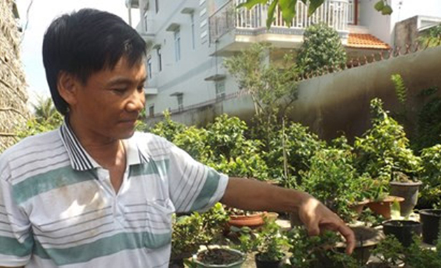Tay ngang khởi nghiệp với cây cảnh