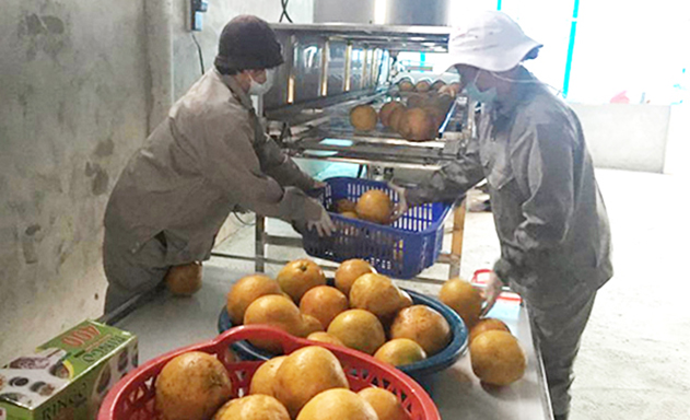 HTX Tân Lạc sản xuất an toàn, nâng tầm thương hiệu