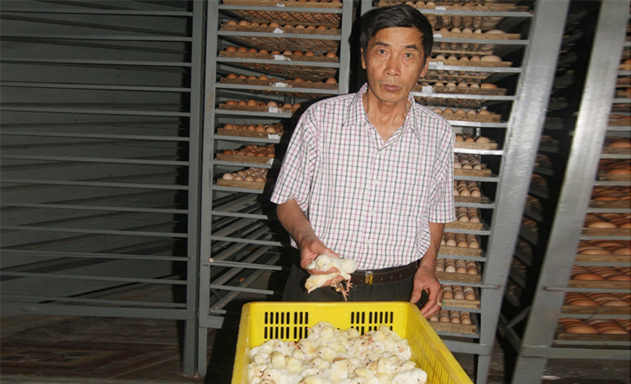 Thương hiệu HTX chiếm lĩnh thị trường Việt