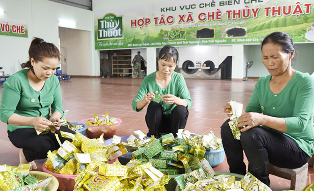 An toàn và an nhàn từ sản xuất bền vững