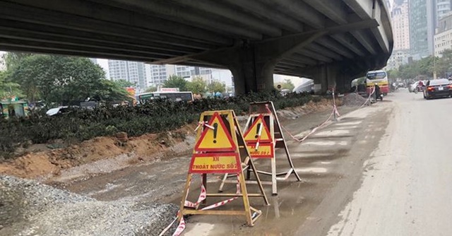Hà Nội di chuyển gần 2.000 cây xanh để mở rộng đường