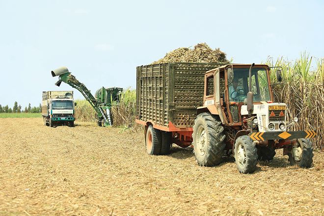 Kinh doanh gặp khó, SLS giảm mạnh