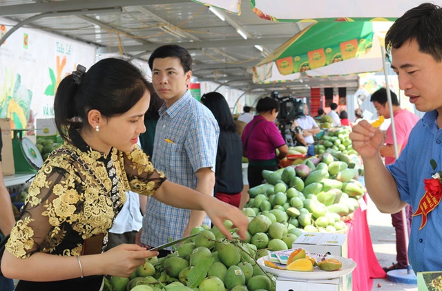 Tuần lễ xoài và nông sản an toàn tỉnh Sơn La tại Hà Nội