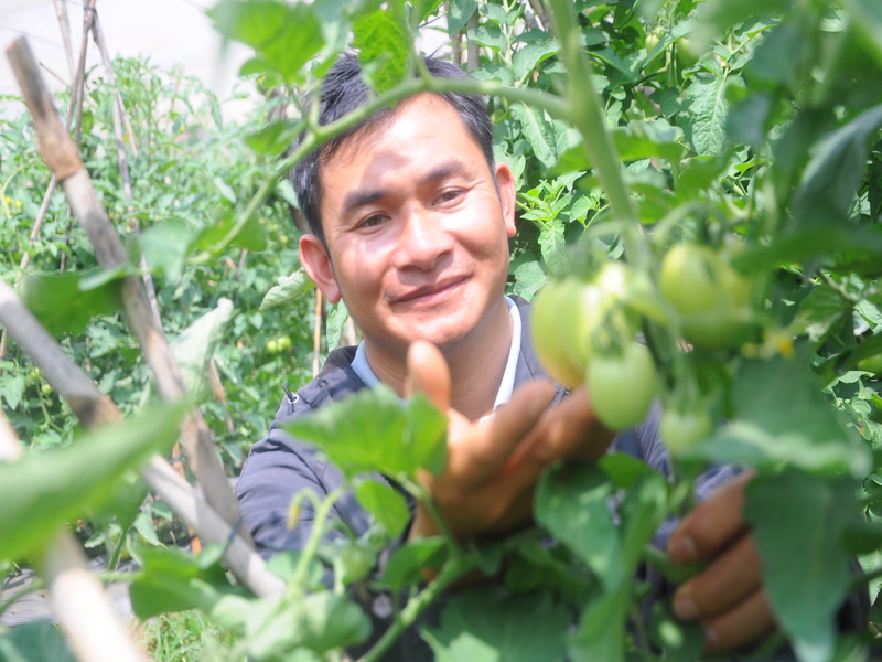 Sản xuất an toàn đưa HTX Thiện Thanh vươn xa