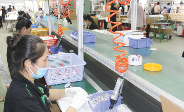 Vẫn nên nhập khẩu để gia công?