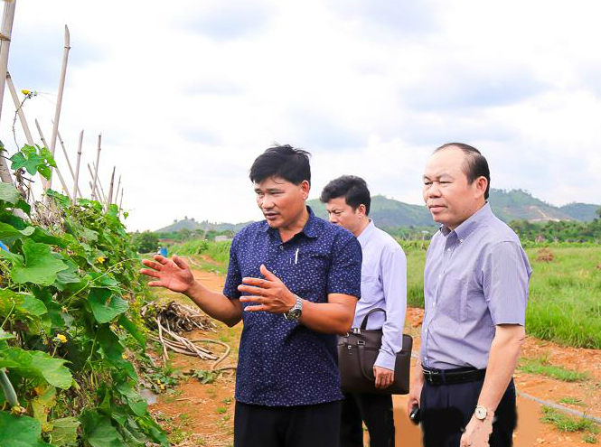 Chủ tịch Nguyễn Ngọc Bảo đề nghị Liên minh HTX tỉnh Đăk Nông quan tâm, hỗ trợ phát triển HTX