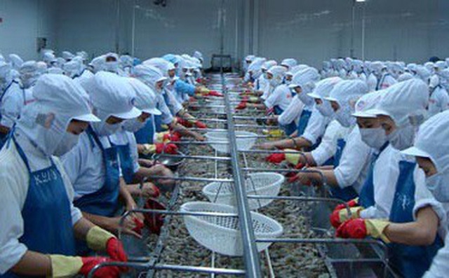 Lãi ròng quý I của Thủy sản Minh Phú giảm 15% so với cùng kỳ