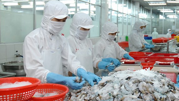 Cảnh báo một công ty của Pakistan chuyên lừa đảo doanh nghiệp xuất khẩu thủy sản