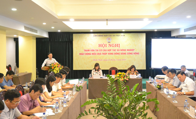toan-canh-hoi-nghi-JPG-9577-1558451038.j