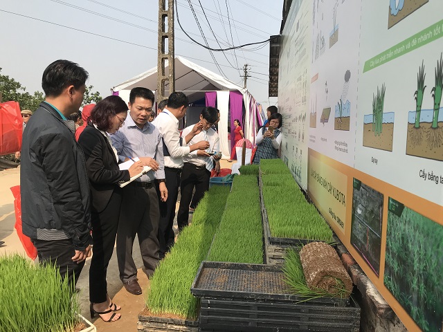 Hà Nội: Triển khai 3 dạng mô hình sản xuất sản phẩm an toàn theo chuỗi