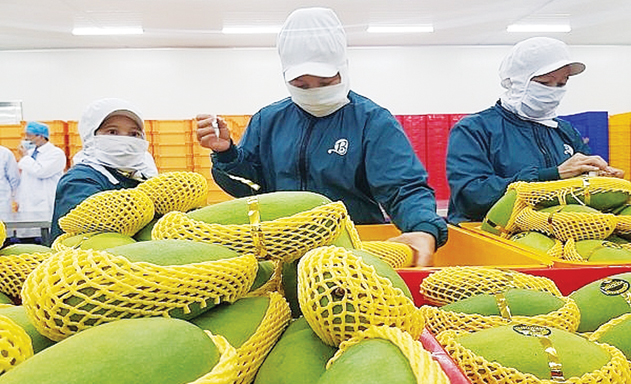 Chuyển hướng thị trường nông sản