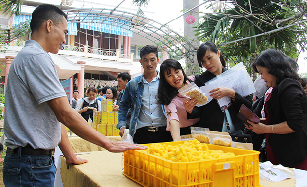 Nuôi tằm khép kín, không lo ô nhiễm môi trường