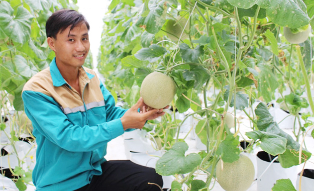 Khoa học kỹ thuật là chìa khóa thành công