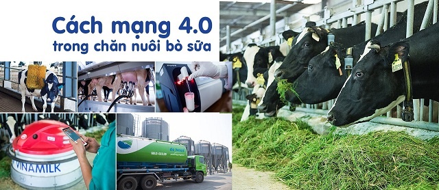 Anh-8-4-7595-1559028266.jpg