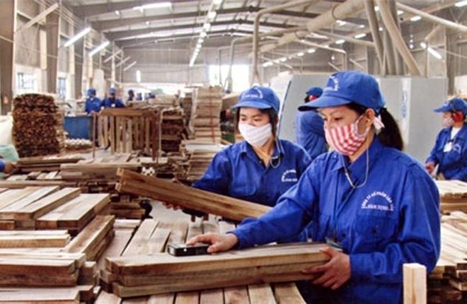 Hoàn tất sáp nhập Sứ Thiên Thanh, TTF bật tăng