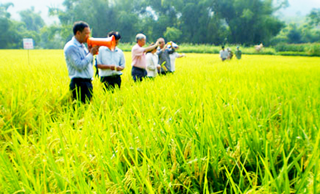 HTX Hoàn Thành sản xuất an toàn, nâng tầm thương hiệu