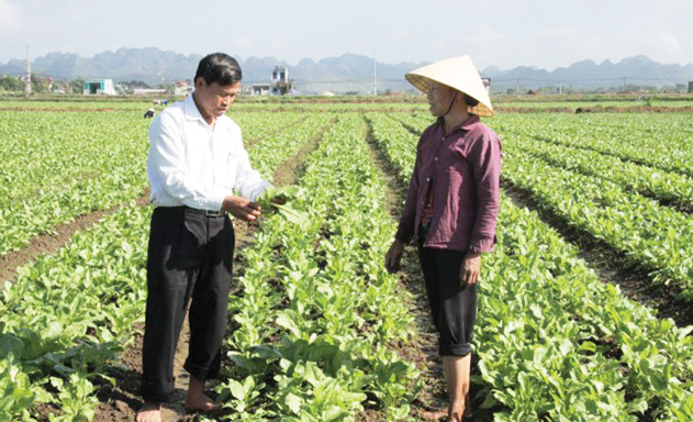HTX Nông nghiệp Nga Trường đẩy mạnh liên kết sau chuyển đổi