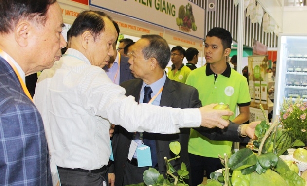 Mù mờ thông tin, hậu quả nhãn tiền