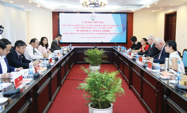 VCA tăng cường phối hợp cùng DGRV