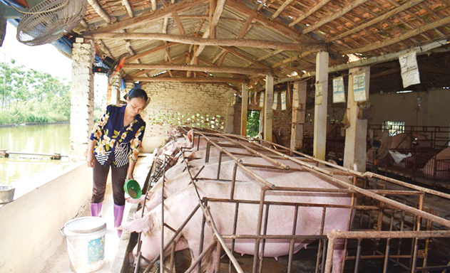 Trang-2-Anh-bai-Chinh-JPG-6040-156056584