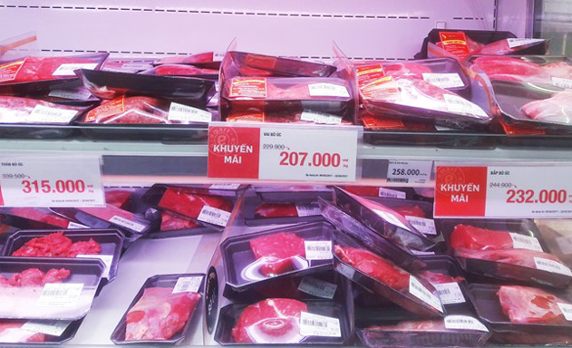Bò nội không dễ đấu với bò ngoại