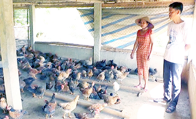THT Thác Đất: Chăn nuôi an toàn, hiệu quả vượt trội