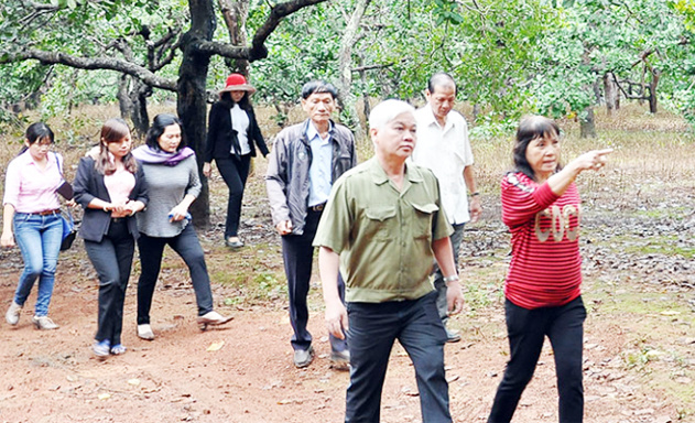 nu-cgu-tich-khoi-nghiep-JPG-1183-1561049