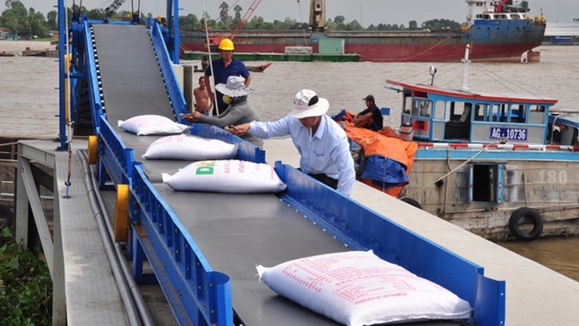 Xuất khẩu gạo dự báo sẽ gặp khó trong cả năm 2019