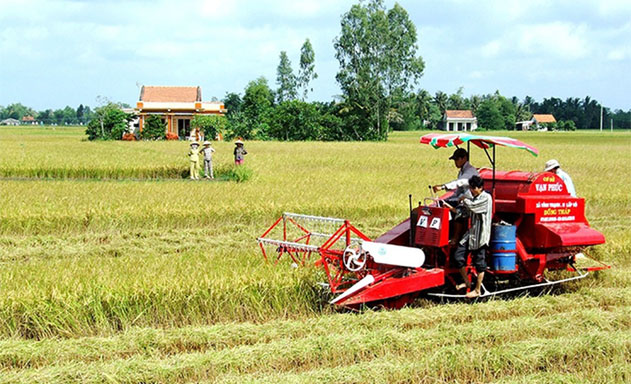 HTX thành công nhờ canh tác lúa thông minh