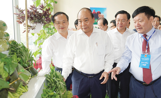 Tạo đột phá cơ chế phát triển kinh tế vùng