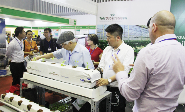 HTX góp phần nâng cao giá trị xuất khẩu rau quả
