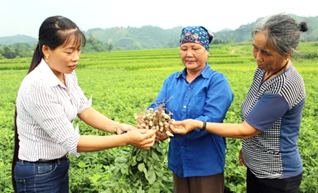 Phụ nữ làm chủ, đưa HTX khởi nghiệp thành công