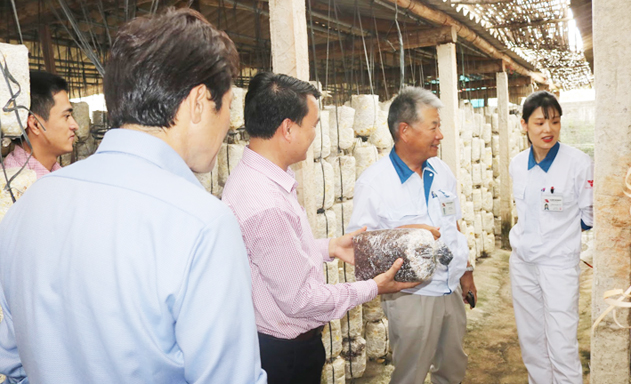 HTX Tiên Tiến sản xuất an toàn, gặt hái thành công